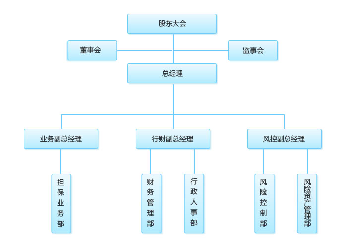 四川坤泰融资担保有限公司组织架构图