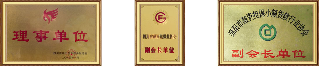 四川坤泰融资担保有限公司企业荣誉