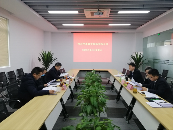 四川坤泰融资担保有限公司召开董事会及年度总结会