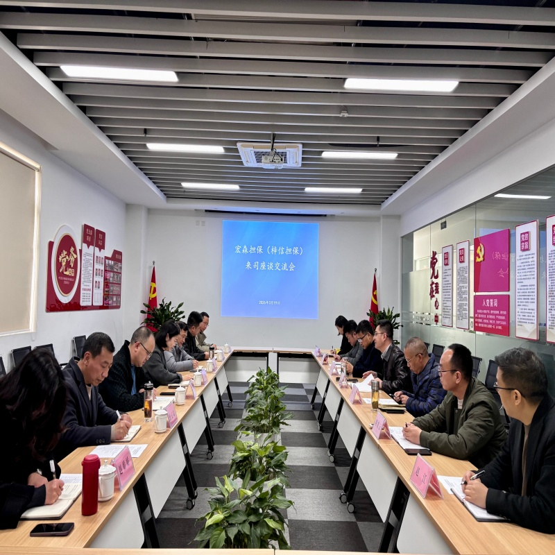 宏森担保（梓信担保）来司交流座谈